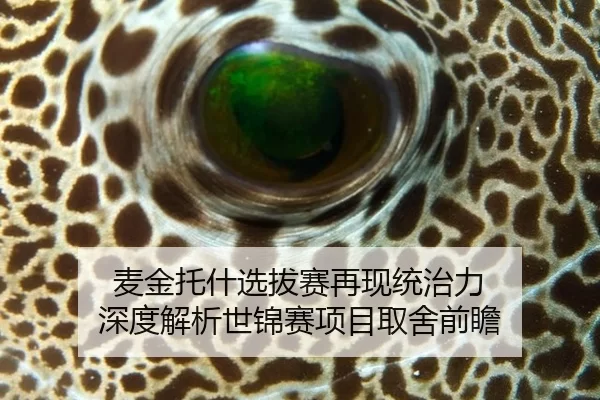 麦金托什选拔赛再现统治力 深度解析世锦赛项目取舍前瞻